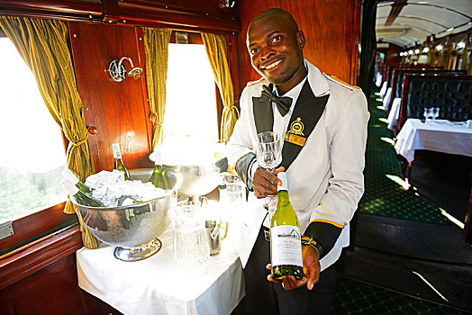 服务,葡萄酒,选择,奢华,列车,皇家,高速列车,赞比亚,非洲