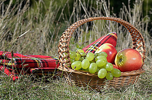 野餐篮,水果,假日,度假,概念