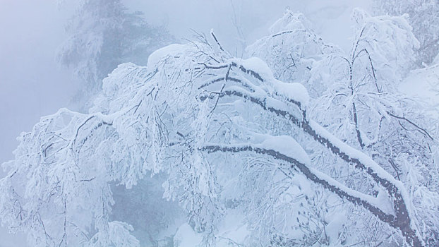 西岭雪山大雪的美丽风景