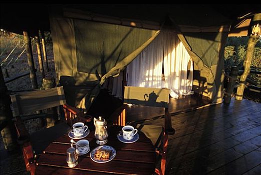 坦桑尼亚,塞伦盖蒂国家公园,露营