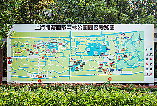 上海奉贤海湾国家森林公园