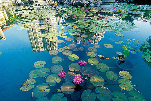 香港回归十周年图片展览沙田中央公园