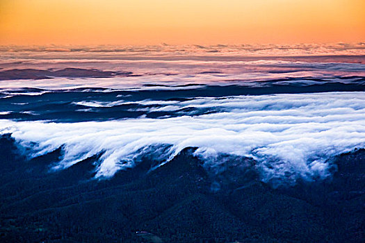 鸟瞰,雾,在未来,在,范围,附近的,魄可宾,猎人谷,新南威尔士,澳大利亚