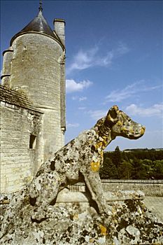 塔,雕塑,猎狗,湖,城堡,卢瓦尔河谷地区,法国