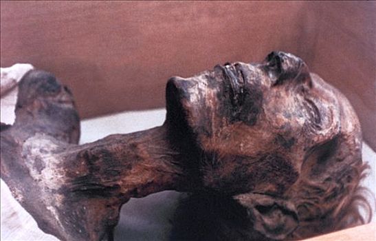 木乃伊,拉美西斯二世,埃及