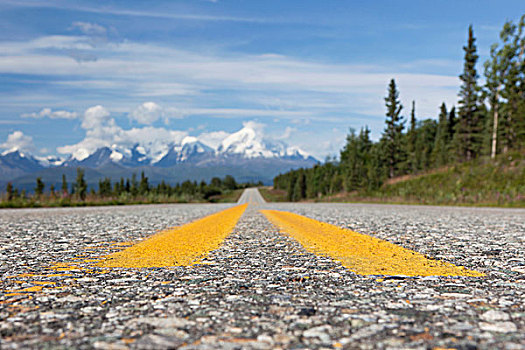 公路,阿拉斯加山脉,阿拉斯加,美国