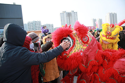 年货大集上醒狮欢腾,市民争相观看抚摸图个好彩头