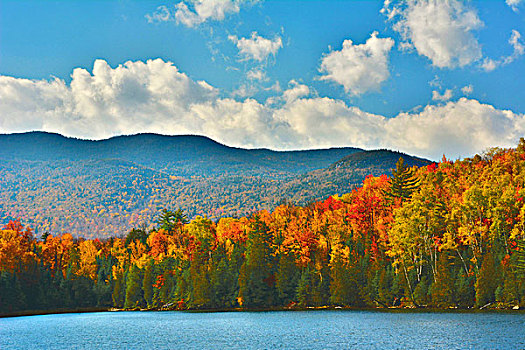 秋天,心形,湖,阿迪朗达克州立公园,纽约,美国