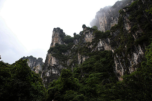 恩施,黄鹤峰,风景,景点,旅游,高山,山区,神秘,树木,植被,石头,鄂西,奇石,峡谷,壮观,云海,仙境