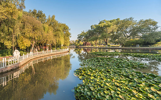秋季中国抚顺清晨公园池塘柳树假山古建筑