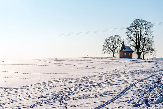 冬季风景,雪,中心,德国