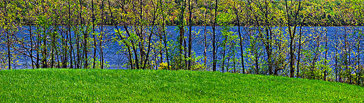 春天,叶子,草场,靠近,湖,岛屿,安大略省,加拿大