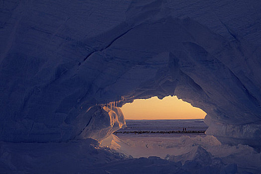 南极,冰山,拱形,午夜,阳光,帝企鹅,游客