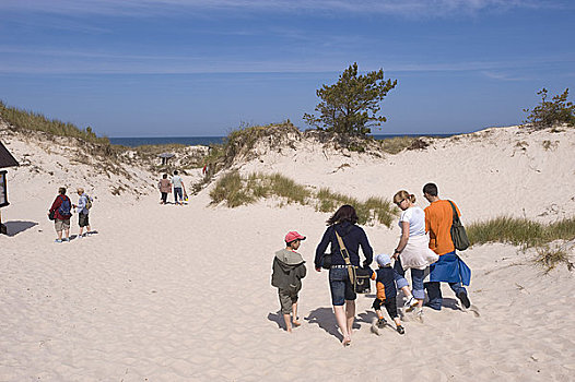 游客,家庭,远足,玩,高,沙丘,波罗的海,岸边,国家公园,波兰