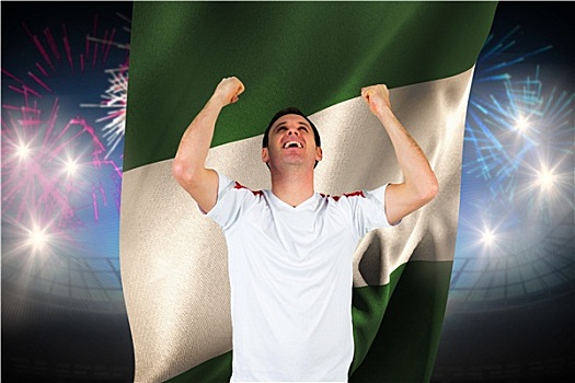 欢呼,球迷,白色,烟花,爆炸,上方,足球场,尼日利亚,旗帜