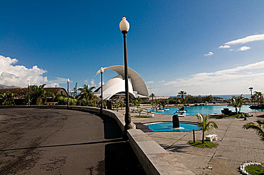 水塘,靠近,剧院,圣克鲁斯-德特内里费,特内里费岛,加纳利群岛,西班牙