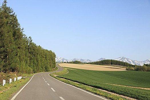 道路,山峦,停留,雪