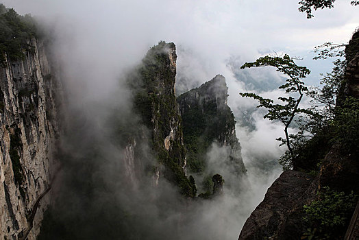 恩施,黄鹤峰,风景,景点,旅游,高山,山区,神秘,树木,植被,石头,鄂西,奇石,峡谷,壮观,云海,仙境