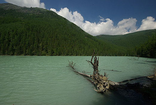 漂亮,山景,靠近,湖,高山湖,山地,水,山谷