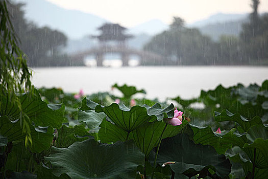 雨中西湖