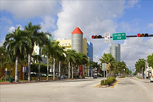 树,道路,建筑,背景,南海滩,迈阿密海滩,佛罗里达,美国