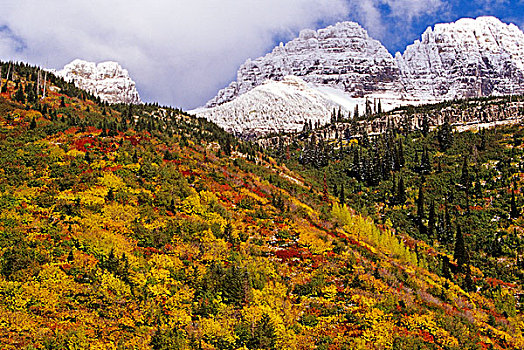 灰尘,下雪,园墙,顶峰,秋色,冰川国家公园,蒙大拿,美国