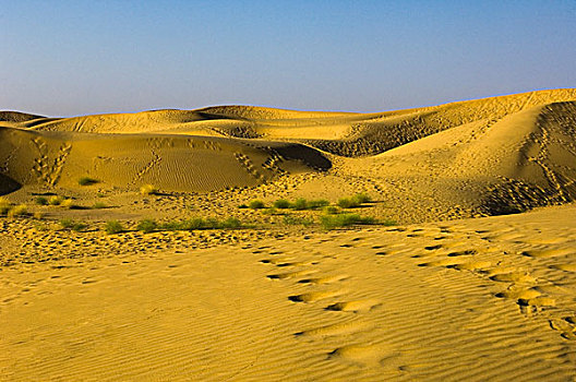 沙丘,沙漠,斋沙默尔,拉贾斯坦邦,印度