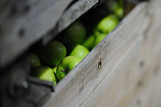 木质,板条箱,澳洲青苹果,苹果