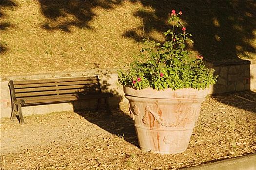 盆栽,公园,圣吉米尼亚诺,锡耶纳省,托斯卡纳,意大利