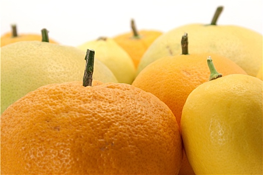 柑橘,收集