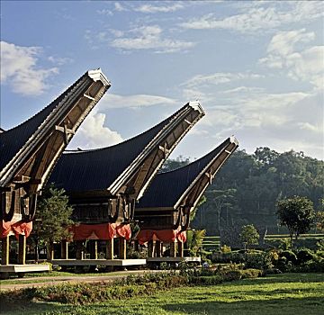 房子,山墙,酒店,乡村,苏拉威西岛,印度尼西亚,东南亚