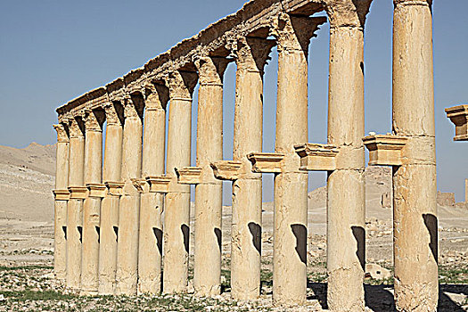 叙利亚帕尔米拉古遗址石柱