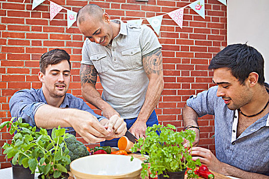 三个,男性,朋友,切,做饭,花园,烧烤