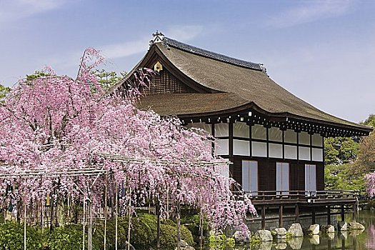 京都,日本