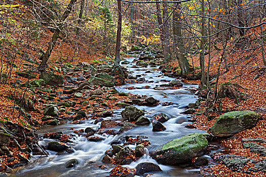 溪流,木头,秋天,瀑布,河,国家公园,树脂