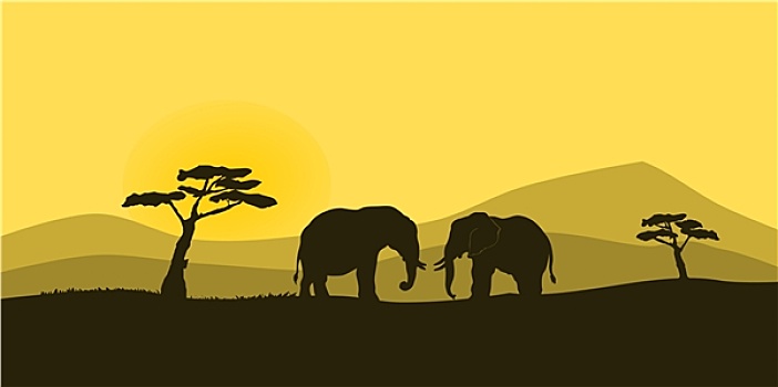 非洲野生动植物,剪影,两个,大象