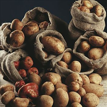 粗麻布,包,种类,土豆