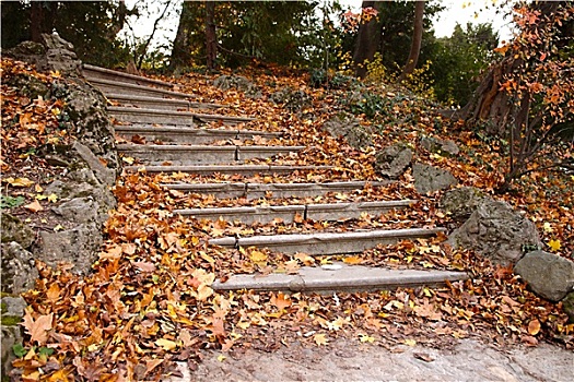 秋天,楼梯