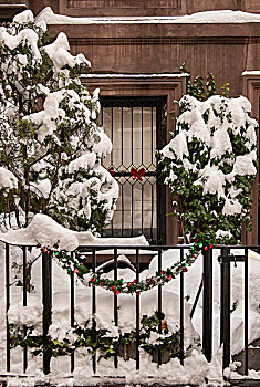 纽约,东方,暴风雪,特写,锻铁,栅栏,雪,圣诞节,绿色,正面,褐砂石