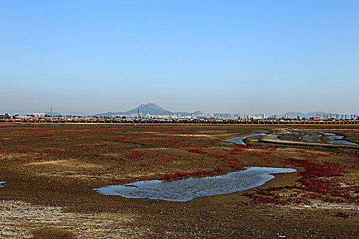 红海滩