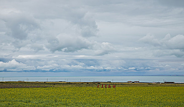 青海湖旅游