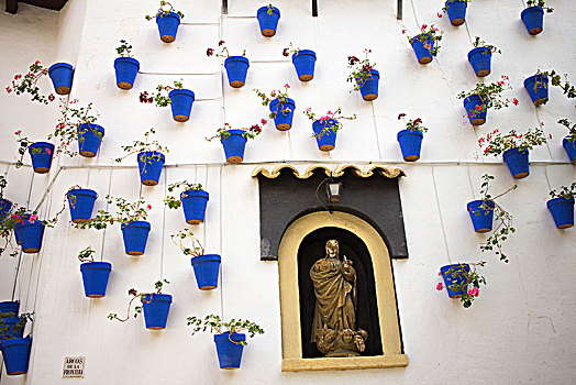 蓝色,花盆,白色背景,墙壁