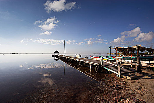 码头,湖,靠近,海湾地区,海岸,梅里达,墨西哥