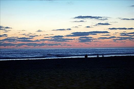 剪影,一个人,海滩,圣地亚哥,加利福尼亚,美国
