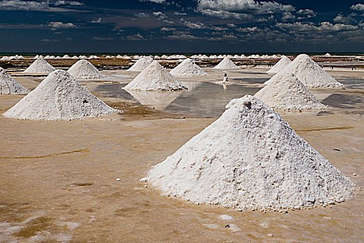 盐,哥伦比亚,南美