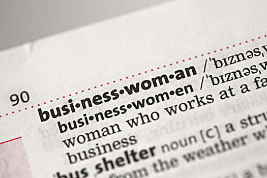 职业女性,定义,字典