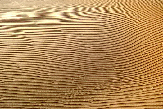 全画幅,沙丘,沙漠