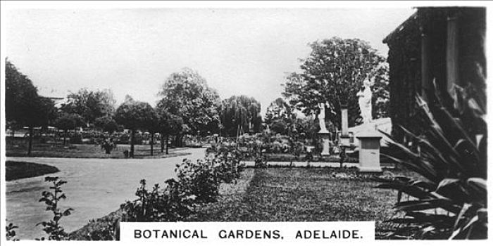 植物园,阿德莱德市,澳大利亚,艺术家,未知