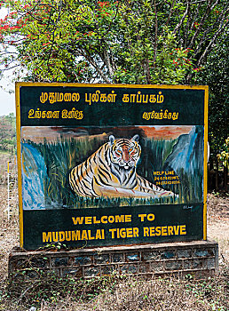 欢迎标志,虎,野生动物,保护区,泰米尔纳德邦,印度,亚洲