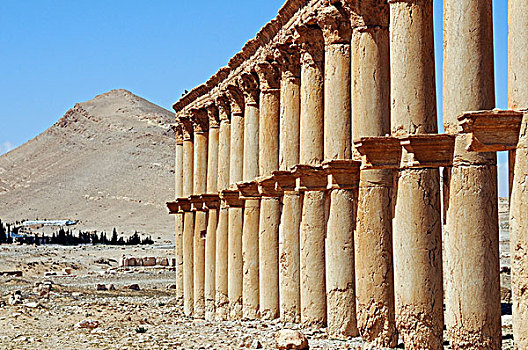 排,柱子,遗址,帕尔迈拉,遗迹,叙利亚,亚洲